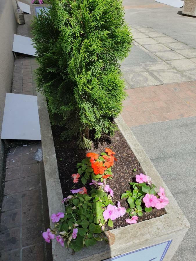 Apartment Resavska Belgrad Exteriör bild